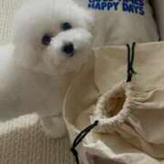 ヒメ日記 2025/03/03 13:34 投稿 【月城  ゆう】 梅田ムチSpa女学院