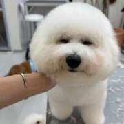 ヒメ日記 2025/06/01 09:24 投稿 【月城  ゆう】 梅田ムチSpa女学院