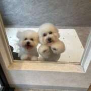 ヒメ日記 2025/07/13 18:24 投稿 【月城  ゆう】 梅田ムチSpa女学院