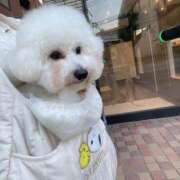 ヒメ日記 2025/08/02 00:14 投稿 【月城  ゆう】 梅田ムチSpa女学院