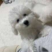 ヒメ日記 2025/08/17 16:14 投稿 【月城  ゆう】 梅田ムチSpa女学院