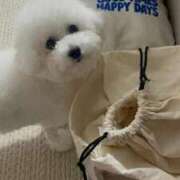 ヒメ日記 2025/09/04 22:14 投稿 【月城  ゆう】 梅田ムチSpa女学院