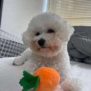 ヒメ日記 2025/10/01 00:44 投稿 【月城  ゆう】 梅田ムチSpa女学院