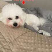 ヒメ日記 2025/12/05 00:30 投稿 【月城  ゆう】 梅田ムチSpa女学院