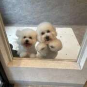 【月城  ゆう】 予約に関してのお願い 梅田ムチSpa女学院