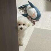 ヒメ日記 2025/12/28 11:54 投稿 【月城  ゆう】 梅田ムチSpa女学院