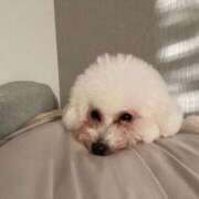 ヒメ日記 2026/02/05 20:14 投稿 【月城  ゆう】 梅田ムチSpa女学院