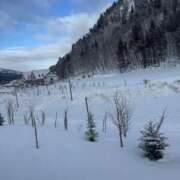 ヒメ日記 2026/02/11 01:44 投稿 【月城  ゆう】 梅田ムチSpa女学院