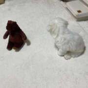 ヒメ日記 2026/02/11 01:47 投稿 【月城  ゆう】 梅田ムチSpa女学院