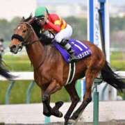 ヒメ日記 2024/12/25 21:02 投稿 わかな CLUB DEEP