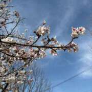 ヒメ日記 2025/04/09 16:44 投稿 わかな CLUB DEEP