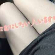 ヒメ日記 2025/02/12 11:51 投稿 くるみ ぷよステーション大宮店