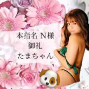 ヒメ日記 2025/01/17 23:33 投稿 たま THE ESUTE 五反田店