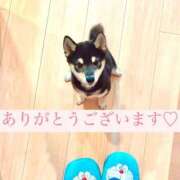 ヒメ日記 2025/01/21 21:29 投稿 たま THE ESUTE 五反田店