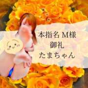 ヒメ日記 2025/01/22 18:50 投稿 たま THE ESUTE 五反田店