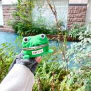 ヒメ日記 2025/02/02 06:00 投稿 たま THE ESUTE 五反田店