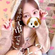 ヒメ日記 2025/02/13 18:20 投稿 たま THE ESUTE 五反田店