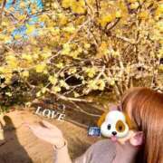 ヒメ日記 2025/02/18 23:50 投稿 たま THE ESUTE 五反田店