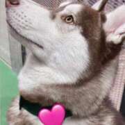 ヒメ日記 2025/02/24 11:00 投稿 たま THE ESUTE 五反田店