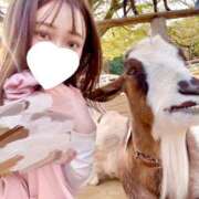 ヒメ日記 2025/05/03 16:20 投稿 たま THE ESUTE 五反田店