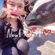 ヒメ日記 2025/05/05 08:40 投稿 たま THE ESUTE 五反田店