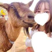 ヒメ日記 2025/05/28 20:05 投稿 たま THE ESUTE 五反田店