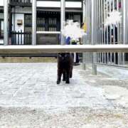 ヒメ日記 2025/06/02 18:20 投稿 たま THE ESUTE 五反田店