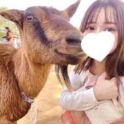 ヒメ日記 2025/06/13 23:00 投稿 たま THE ESUTE 五反田店