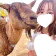 ヒメ日記 2025/08/22 10:20 投稿 たま THE ESUTE 五反田店