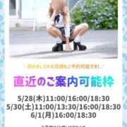 ヒメ日記 2026/05/28 09:26 投稿 桃源ひなの 鹿鳴館
