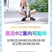 ヒメ日記 2026/05/29 14:16 投稿 桃源ひなの 鹿鳴館