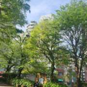 ヒメ日記 2025/04/23 12:25 投稿 葉月かりな Lihtways（ライトウェイズ）