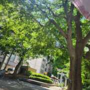 ヒメ日記 2025/05/11 13:42 投稿 葉月かりな Lihtways（ライトウェイズ）