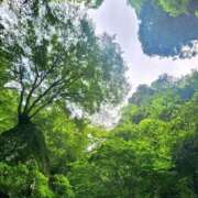 ヒメ日記 2025/07/09 12:26 投稿 葉月かりな Lihtways（ライトウェイズ）