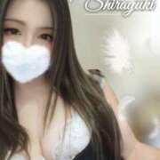 ヒメ日記 2025/09/12 08:02 投稿 白雪ゆゆ(しらゆきゆゆ) 五十路マダムエクスプレス厚木店(カサブランカグループ)