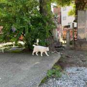 ヒメ日記 2025/12/26 15:01 投稿 さや 世界のあんぷり亭 町田店