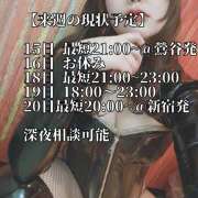 ヒメ日記 2025/12/15 22:19 投稿 華丼もも PERSONA（ペルソナ）