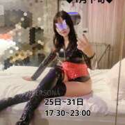 華丼もも マイブームとスケジュール。 PERSONA（ペルソナ）