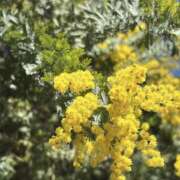 ヒメ日記 2025/02/25 14:10 投稿 せな ヌクトコ