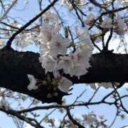 ヒメ日記 2025/04/12 19:51 投稿 せな ヌクトコ