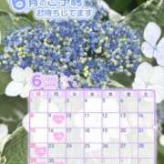 ヒメ日記 2025/06/09 11:08 投稿 せな ヌクトコ