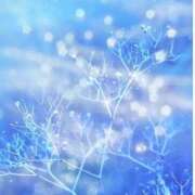 ヒメ日記 2024/12/09 20:05 投稿 乙葉(おとは) 高知デリヘル倶楽部 人妻熟女専門店