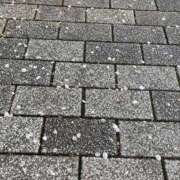 ヒメ日記 2025/03/17 18:38 投稿 星野みひろ 月の真珠-新宿-