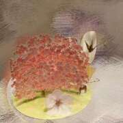 ヒメ日記 2025/03/30 20:18 投稿 星野みひろ 月の真珠-新宿-