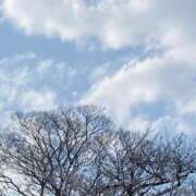 ヒメ日記 2025/04/01 09:08 投稿 星野みひろ 月の真珠-新宿-