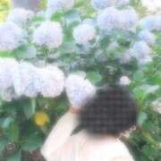 ヒメ日記 2025/06/13 08:58 投稿 星野みひろ 月の真珠-新宿-