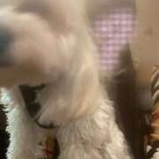 ヒメ日記 2025/06/23 09:01 投稿 星野みひろ 月の真珠-新宿-