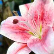 ヒメ日記 2025/04/13 14:00 投稿 れの 熟生クラブ