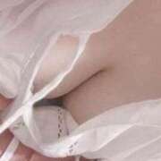 ヒメ日記 2025/10/17 15:24 投稿 まき 東京リップ 渋谷店