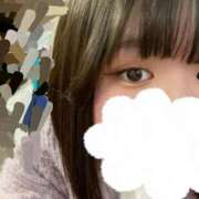 ヒメ日記 2024/12/14 11:37 投稿 みすず 奴隷コレクション